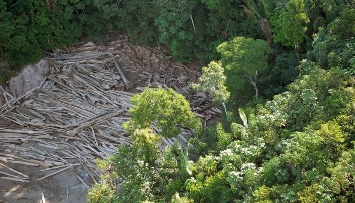 ONU premiará iniciativas para reparação de ecossistemas